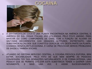    A ERYTHROXYLON COCA É UMA PLANTA ENCONTRADA NA AMÉRICA CENTRAL E
    AMÉRICA DO SUL. ESSAS FOLHAS SÃO UTILIZADAS, PELO POVO ANDINO, PARA
    MASCAR OU COMO COMPONENTE DE CHÁS, COM A FUNÇÃO DE ALIVIAR OS
    SINTOMAS DECORRENTES DAS GRANDES ALTITUDES. ENTRETANTO, UMA
    SUBSTÂNCIA ALCALOIDE QUE CONSTITUI CERCA DE 10% DESTA PARTE DA PLANTA,
    CHAMADA BENZOILMETILECGONINA, É CAPAZ DE PROVOCAR SÉRIOS PROBLEMAS
    DE SAÚDE E TAMBÉM SOCIAIS.

   ATUANDO NO SISTEMA NERVOSO CENTRAL, A COCAÍNA PROVOCA EUFORIA, BEM
    ESTAR, SOCIABILIDADE. PELO FATO DE QUE NEM SEMPRE AS PESSOAS
    CONSEGUEM TER TAIS SENSAÇÕES NATURALMENTE, E DE FORMA INTENSA, UMA
    PESSOA QUE SE PERMITE UTILIZAR ESTA SUBSTÂNCIA TENDE A QUERER USAR
    NOVAMENTE,    E    MAIS   UMA   VEZ,   E   ASSIM    SUCESSIVAMENTE.
 