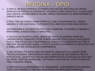    O ÓPIO É UM SUCO ESPESSO EXTRAÍDO DOS FRUTOS IMATUROS DE VÁRIAS
    ESPÉCIES DE PAPOULAS SONÍFERAS, UTILIZADO COMO NARCÓTICO. PLANTA ESSA
    QUE CRESCE NATURALMENTE NA ÁSIA, SENDO ORIGINÁRIA DO MEDITERRÂNEO E
    ORIENTE MÉDIO.

    O ÓPIO TEM UM CHEIRO CARACTERÍSTICO, QUE É DESAGRADÁVEL, SABOR
    AMARGO E COR CASTANHA. É UTILIZADO PELA MEDICINA COMO ANALGÉSICO.

    OS PRINCIPAIS ALCALÓIDES DO ÓPIO SÃO: A MORFINA, A CODEÍNA, A TEBAÍNA, A
    PAPAVERINA, A NARCOTINA E A NARCEÍNA.

    O CULTIVO DA PLANTA É LEGAL, SERVE DE FONTE DE MATÉRIA-PRIMA EM
    LABORATÓRIOS FARMACÊUTICOS. PORÉM, GRANDE PARTE DAS PLANTAÇÕES É
    ILEGAL, SUA PRODUÇÃO É DESTINADA AO COMÉRCIO CLANDESTINO DE ÓPIO E
    HEROÍNA. NO MERCADO ILEGAL O ÓPIO É VENDIDO EM BARRAS OU REDUZIDO A PÓ
    E EMBALADO EM CÁPSULAS OU COMPRIMIDOS.

    O USO DO ÓPIO FOI ESPALHADO NO ORIENTE, MASCADO OU FUMADO. ESSE
    PROVOCA EUFORIA, DEPENDÊNCIA FÍSICA, SEGUIDA DE DECADÊNCIA FÍSICA E
    INTELECTUAL. OS EFEITOS FÍSICOS DECORRENTES DA UTILIZAÇÃO DO ÓPIO SÃO:
    NÁUSEAS, VÔMITOS, ANSIEDADE, TONTURAS E FALTA DE AR. O EFEITO DURA DE
    TRÊS A QUATRO HORAS.

    O ÓPIO PROVOCA DEPENDÊNCIA NO ORGANISMO. O DEPENDENTE FICA MAGRO,
    COM A COR AMARELA E TEM SUA RESISTÊNCIA ÀS INFECÇÕES DIMINUÍDA.
 