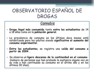 OBSERVATORIO ESPAÑOL DE
DROGAS
Cannabis
• Droga ilegal más consumida tanto entre los estudiantes de 14
a 18 años como en la población general.
• La prevalencia de consumo en los últimos doce meses está
estabilizada para los adultos siendo significativo el aumento del
consumo experimental.
• Entre los estudiantes, se registra una caída del consumo a
partir de 2004 .
• Se observa un ligero descenso de la continuidad en el consumo
(número de personas que han probado la sustancia alguna vez en
su vida y han continuado su consumo en el último año y en los
últimos 30 días).
 