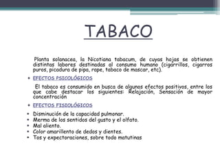TABACO
Planta solanacea, la Nicotiana tabacum, de cuyas hojas se obtienen
distintas labores destinadas al consumo humano (cigarrillos, cigarros
puros, picadura de pipa, rape, tabaco de mascar, etc).
 EFECTOS PSICOLÓGICOS
El tabaco es consumido en busca de algunos efectos positivos, entre los
que cabe destacar los siguientes: Relajación, Sensación de mayor
concentración
 EFECTOS FISIOLÓGICOS
 Disminución de la capacidad pulmonar.
 Merma de los sentidos del gusto y el olfato.
 Mal aliento.
 Color amarillento de dedos y dientes.
 Tos y expectoraciones, sobre todo matutinas
 