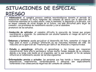 SITUACIONES DE ESPECIAL
RIESGO
• Adolescencia: el cannabis provoca cambios neurobiológicos durante el periodo de
maduración cerebral. El inicio temprano del consumo se asocia con la aparición de
trastornos mentales en la edad adulta, como la ansiedad, la depresión y la psicosis, con
un mayor consumo de otras drogas en el futuro, con más dificultad para dejar de
consumir, con problemas de rendimiento escolar y con el abandono
prematuro de los estudios.
• Conducción de vehículos: el cannabis dificulta la ejecución de tareas que exigen
coordinación y atención. Su combinación con alcohol aumenta el riesgo de sufrir un
accidente en un 50%.
• Embarazo y lactancia: puede perjudicar el desarrollo del feto, aumentar el riesgo de
bajo peso al nacer y producir alteración en las funciones mentales del niño. Se
relaciona con la aparición del Trastorno por Déficit de Atención e Hiperactividad.
• Estudio y aprendizaje: dificulta el aprendizaje y las tareas que requieren
concentración. Este efecto permanece incluso mucho tiempo después de su consumo,
debido a su larga vida media en el organismo, por lo que consumir el fin de semana
influirá en el rendimiento escolar de los días siguientes.
• Enfermedades previas o actuales: las personas que han tenido o tienen problemas
psiquiátricos, respiratorios, cardiovasculares o alérgicos son especialmente
vulnerables a las consecuencias negativas del consumo de cannabis.
 