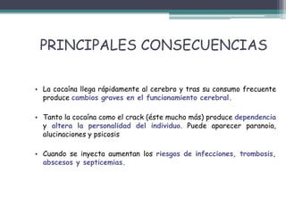 PRINCIPALES CONSECUENCIAS
• La cocaína llega rápidamente al cerebro y tras su consumo frecuente
produce cambios graves en el funcionamiento cerebral.
• Tanto la cocaína como el crack (éste mucho más) produce dependencia
y altera la personalidad del individuo. Puede aparecer paranoia,
alucinaciones y psicosis
• Cuando se inyecta aumentan los riesgos de infecciones, trombosis,
abscesos y septicemias.
 