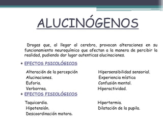 ALUCINÓGENOS
Drogas que, al llegar al cerebro, provocan alteraciones en su
funcionamiento neuroquímico que afectan a la manera de percibir la
realidad, pudiendo dar lugar autenticas alucinaciones.
 EFECTOS PSICOLÓGICOS
Alteración de la percepción Hipersensibilidad sensorial.
Alucinaciones. Experiencia mística
Euforia. Confusión mental.
Verborrea. Hiperactividad.
 EFECTOS FISIOLÓGICOS
Taquicardia. Hipertermia.
Hipotensión. Dilatación de la pupila.
Descoordinación motora.
 