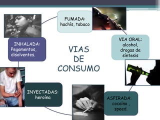 FUMADA:
hachís, tabaco
VIA ORAL:
alcohol,
drogas de
síntesis
ASPIRADA:
cocaína ,
speed.
INYECTADAS:
heroína
INHALADA:
Pegamentos,
disolventes.
VIAS
DE
CONSUMO
 