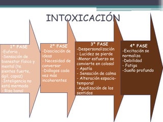 INTOXICACIÓN
1º FASE
-Euforia ,
-Sensación de
bienestar físico y
mental (te
sientes fuerte,
ágil, capaz)
-Inteligencia no
está mermada
- Risa banal
2º FASE
-Disociación de
ideas
- Necesidad de
conversar
-Diálogos cada
vez más
incoherentes
3º FASE
-Despersonalización
- Lucidez se pierde
-Menor esfuerzo se
convierte en colosal
- Apatía
- Sensación de calma
- Alteración espacio-
temporal
-Agudización de los
sentidos
4º FASE
-Excitación se
normaliza
-Debilidad
- Fatiga
-Sueño profundo
 