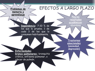 EFECTOS A LARGO PLAZOProblemas de
memoria y
aprendizaje
Dependencia: 7-10 % de
los que lo prueba. 1 de
cada 3 de los que lo
consumen habitualmente.
Peores
resultados
académicos:
abandono
Trastornos
emocionales
(ansiedad,
depresión)
Enfermedades
bronco-pulmonares: bronquitis
crónica, enfisema pulmonar, o
cáncer de pulmón.
 