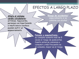 EFECTOS A LARGO PLAZO
Altera el sistema
cardio-circulatorio:
arríimias, taquicardia,
personas con hipertensión
o insuficiencia cardiaca
pueden sufrir un
empeoramiento
Riesgo de accidentes:
especialmente si se
combina con alcohol
Psicosis y esquizofrenia :
su consumo aumenta más de 5
veces el riesgo de padecerlas.
Cuanto antes se comienza a
consumir y más frecuente es
el consumo, mayor es el riesgo.
 