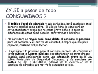 ¿Y SI a pesar de todo
CONSUMIMOS ?
• El tráfico ilegal de cánnabis y sus derivados, está castigado en el
derecho español como delito. El Código Penal lo considera un
estupefaciente y droga que no causa grave daño a la salud (a
diferencia de otras como cocaína, anfetaminas o heroína).
• No considera en ningún caso como delito el consumo, la posesión
para el consumo y el cultivo de cánnabis, siempre que sea para
el propio consumo del poseedor.
• El consumo o la posesión para el consumo personal de cánnabis en
la vía pública o lugares públicos, sin diferenciar de otras drogas
ilegales, está considerado como una infracción grave de la Ley
sobre Protección de Seguridad Ciudadana, y se sanciona con
multas de 301 a 30.000 €, además de la incautación de la
cantidad de cánnabis que motive la actuación policial.
 