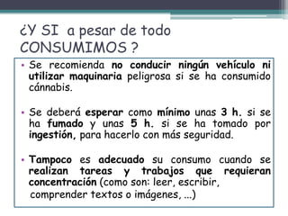 ¿Y SI a pesar de todo
CONSUMIMOS ?
• Se recomienda no conducir ningún vehículo ni
utilizar maquinaria peligrosa si se ha consumido
cánnabis.
• Se deberá esperar como mínimo unas 3 h. si se
ha fumado y unas 5 h. si se ha tomado por
ingestión, para hacerlo con más seguridad.
• Tampoco es adecuado su consumo cuando se
realizan tareas y trabajos que requieran
concentración (como son: leer, escribir,
comprender textos o imágenes, ...)
 
