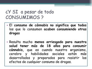 ¿Y SI a pesar de todo
CONSUMIMOS ?
• El consumo de cánnabis no significa que todos
los que lo consumen acaben consumiendo otras
drogas
• Resulta mucho menos arriesgado para nuestra
salud tener más de 18 años para consumir
cánnabis, que es cuando nuestro organismo,
cerebro y habilidades sociales están más
desarrollados y preparados para resistir los
efectos de cualquier consumo de drogas.
 