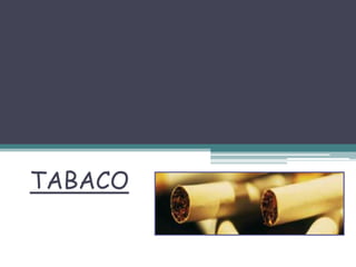TABACO
 