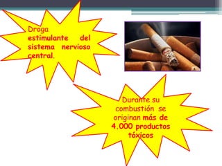 Droga
estimulante del
sistema nervioso
central.
Durante su
combustión se
originan más de
4.000 productos
tóxicos
 