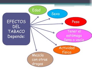 EFECTOS
DEL
TABACO
Depende:
Edad
Sexo
Peso
Mezcla
con otras
drogas
Tener el
estómago
lleno o vacío
Actividad
física
 