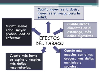 Cuanto mayor es la dosis,
mayor es el riesgo para la
salud.
Cuanta menos
edad, mayor
probabilidad de
enfermar.
Cuanto más humo
se aspira y respira,
más daños
respiratorios.
Cuanto menos
alimentos en el
estomago, más
daños digestivos.
Cuanto más
mezclas con otras
drogas, más daños
mentales y
sociales.
EFECTOS
DEL TABACO
 