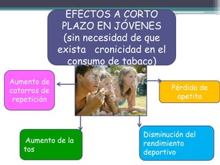 EFECTOS A CORTO
PLAZO EN JÓVENES
(sin necesidad de que
exista cronicidad en el
consumo de tabaco)
Aumento de
catarros de
repetición
Aumento de la
tos
Disminución del
rendimiento
deportivo
Pérdida de
apetito
 