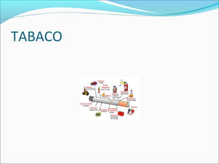 TABACO
 