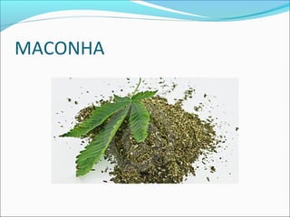 MACONHA
 