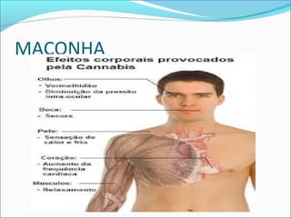 MACONHA
 