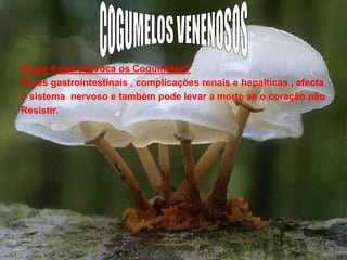 O que é que provoca os Cogumelos?
Dores gastroíntestinais , complicações renais e hepalticas , afecta
o sistema nervoso e também pode levar a morte se o coração não
Resistir.

17

 