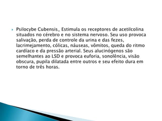 

Psilocybe Cubensis_ Estimula os receptores de acetilcolina
situados no cérebro e no sistema nervoso. Seu uso provoca
salivação, perda de controle da urina e das fezes,
lacrimejamento, cólicas, náuseas, vômitos, queda do ritmo
cardíaco e da pressão arterial. Seus alucinógenos são
semelhantes ao LSD e provoca euforia, sonolência, visão
obscura, pupila dilatada entre outros e seu efeito dura em
torno de três horas.

 