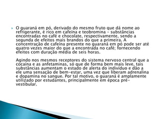

O guaraná em pó, derivado do mesmo fruto que dá nome ao
refrigerante, é rico em cafeína e teobromina – substâncias
encontradas no café e chocolate, respectivamente, sendo a
segunda de efeitos mais brandos do que a primeira. A
concentração de cafeína presente no guaraná em pó pode ser até
quatro vezes maior do que a encontrada no café; fornecendo
efeitos com duração média de seis horas.
Agindo nos mesmos receptores do sistema nervoso central que a
cocaína e as anfetaminas, só que de forma bem mais leve, tais
substâncias aumentam o estado de alerta do indivíduo e dão a
ele uma sensação de bem-estar, uma vez que liberam adrenalina
e dopamina no sangue. Por tal motivo, o guaraná é amplamente
utilizado por estudantes, principalmente em época prévestibular.

 