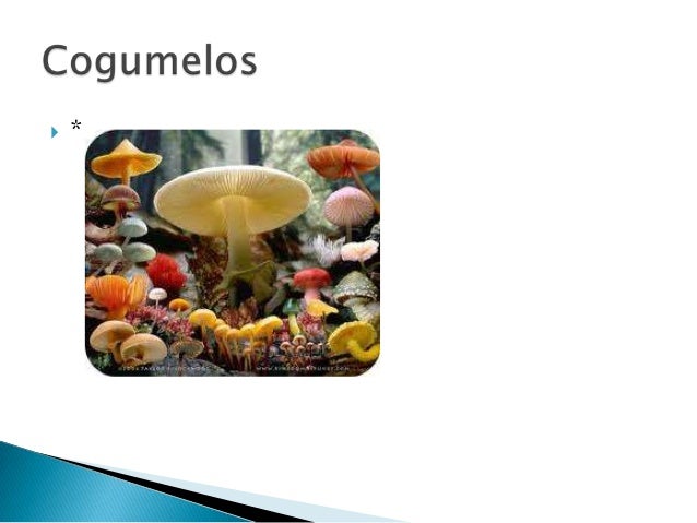 Se o delírio tremens vive com ele