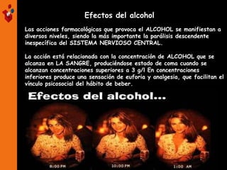 Efectos del alcohol
Las acciones farmacológicas que provoca el ALCOHOL se manifiestan a
diversos niveles, siendo la más importante la parálisis descendente
inespecífica del SISTEMA NERVIOSO CENTRAL.
La acción está relacionada con la concentración de ALCOHOL que se
alcanza en LA SANGRE, produciéndose estado de coma cuando se
alcanzan concentraciones superiores a 3 g/l En concentraciones
inferiores produce una sensación de euforia y analgesia, que facilitan el
vínculo psicosocial del hábito de beber.

 