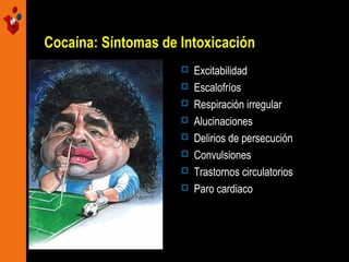 Cocaína: Síntomas de Intoxicación









Excitabilidad
Escalofríos
Respiración irregular
Alucinaciones
Delirios de persecución
Convulsiones
Trastornos circulatorios
Paro cardiaco

 