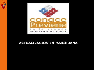 ACTUALIZACION EN MARIHUANA

 