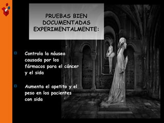 PRUEBAS BIEN
DOCUMENTADAS
EXPERIMENTALMENTE:



Controla la náusea
causada por los
fármacos para el cáncer
y el sida



Aumenta el apetito y el
peso en los pacientes
con sida

 