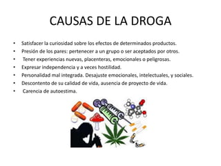 CAUSAS DE LA DROGA
•
•
•
•
•
•
•

Satisfacer la curiosidad sobre los efectos de determinados productos.
Presión de los pares: pertenecer a un grupo o ser aceptados por otros.
Tener experiencias nuevas, placenteras, emocionales o peligrosas.
Expresar independencia y a veces hostilidad.
Personalidad mal integrada. Desajuste emocionales, intelectuales, y sociales.
Descontento de su calidad de vida, ausencia de proyecto de vida.
Carencia de autoestima.

 
