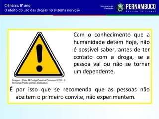 Com o conhecimento que a
humanidade detém hoje, não
é possível saber, antes de ter
contato com a droga, se a
pessoa vai ou não se tornar
um dependente.
É por isso que se recomenda que as pessoas não
aceitem o primeiro convite, não experimentem.
Ciências, 8° ano
O efeito do uso das drogas no sistema nervoso
Imagem : Peter M Dodge/Creative Commons CC0 1.0 
Universal Public Domain Dedication.
 