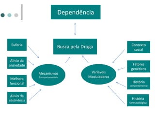 Dependência
Busca pela DrogaEuforia
Alívio da
ansiedade
Melhora
funcional
Alívio da
abstinência
Contexto
social
Fatores
genéticos
História
comportamental
História
farmacológica
Variáveis
Moduladoras
Mecanismos
Comportamentais
 