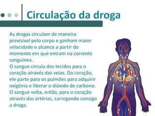 As drogas circulam de maneira
previsível pelo corpo e ganham maior
velocidade e alcance a partir do
momento em que entram na corrente
sanguínea.
O sangue circula dos tecidos para o
coração através das veias. Do coração,
ele parte para os pulmões para adquirir
oxigênio e liberar o dióxido de carbono.
O sangue volta, então, para o coração
através das artérias, carregando consigo
a droga.
 
