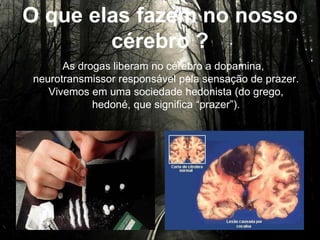 O que elas fazem no nosso
cérebro ?
As drogas liberam no cérebro a dopamina,
neurotransmissor responsável pela sensação de prazer.
Vivemos em uma sociedade hedonista (do grego, hedoné,
que significa “prazer”).
 