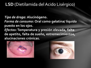 Tipo de droga: Alucinógeno.
Forma de consumo: Oral como gelatina/ líquido
puesto en los ojos.
Efectos: Temperatura y presión elevada, falta
de apetito, falta de sueño, estremecimientos,
alucinaciones crónicas.
LSD (Dietilamida del Acido Lisérgico)
 