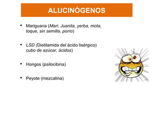 ALUCINÓGENOS
 Mariguana (Mari, Juanita, yerba, mota,
toque, sin semilla, porro)
 LSD (Dietilamida del ácido lisérgico)
cubo de azúcar, ácidos)
 Hongos (psilocibina)
 Peyote (mezcalina)
 