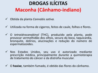 DROGAS ILÍCITAS 
Maconha (Cânhamo-indiano) 
 Obtida da planta Cannabis sativa. 
 Utilizada na forma de cigarros, feitos de caule, folhas e flores. 
 O tetraidrocanabinol (THC), produzido pela planta, pode 
provocar vermelhidão dos olhos, secura da boca, taquicardia, 
bronquite, delírios, alucinações e redução do número de 
espermatozoides. 
 Nos Estados Unidos, seu uso é autorizado mediante 
prescrição médica, principalmente durante a quimioterapia 
de tratamento do câncer e da distrofia muscular. 
 O haxixe, também fumado, é obtido das flores do cânhamo. 
 
