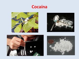 Cocaína 
 