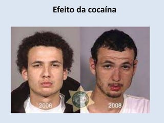 Efeito da cocaína 
 