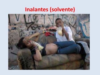 Inalantes (solvente) 
 
