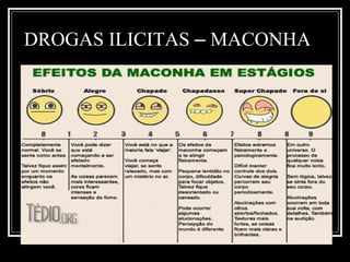 DROGAS ILICITAS – MACONHA 
 