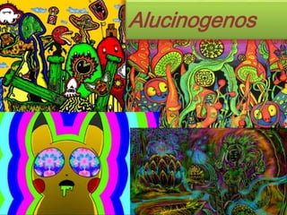 Alucinogenos 
 