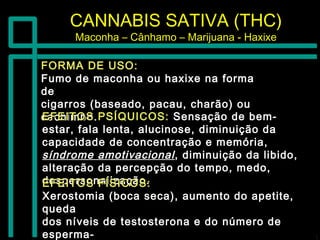 CANNABIS SATIVA (THC)CANNABIS SATIVA (THC)
Maconha – Cânhamo – Marijuana - HaxixeMaconha – Cânhamo – Marijuana - Haxixe
FORMA DE USO:FORMA DE USO:
Fumo de maconha ou haxixe na formaFumo de maconha ou haxixe na forma
dede
cigarros (baseado, pacau, charão) oucigarros (baseado, pacau, charão) ou
cachimbo.cachimbo.EFEITOS PSÍQUICOS:EFEITOS PSÍQUICOS: Sensação de bem-Sensação de bem-
estar, fala lenta, alucinose, diminuição daestar, fala lenta, alucinose, diminuição da
capacidade de concentração e memória,capacidade de concentração e memória,
síndrome amotivacionalsíndrome amotivacional, diminuição da libido,, diminuição da libido,
alteração da percepção do tempo, medo,alteração da percepção do tempo, medo,
despersonalização.despersonalização.EFEITOS FÍSICOS:EFEITOS FÍSICOS:
Xerostomia (boca seca), aumento do apetite,Xerostomia (boca seca), aumento do apetite,
quedaqueda
dos níveis de testosterona e do número dedos níveis de testosterona e do número de
esperma-esperma-
 