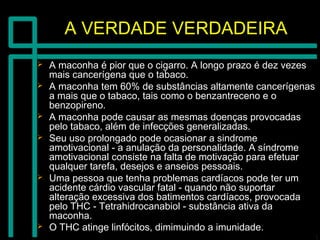 A VERDADE VERDADEIRAA VERDADE VERDADEIRA
 A maconha é pior que o cigarro. A longo prazo é dez vezesA maconha é pior que o cigarro. A longo prazo é dez vezes
mais cancerígena que o tabaco.mais cancerígena que o tabaco.
 A maconha tem 60% de substâncias altamente cancerígenasA maconha tem 60% de substâncias altamente cancerígenas
a mais que o tabaco, tais como o benzantreceno e oa mais que o tabaco, tais como o benzantreceno e o
benzopireno.benzopireno.
 A maconha pode causar as mesmas doenças provocadasA maconha pode causar as mesmas doenças provocadas
pelo tabaco, além de infecções generalizadas.pelo tabaco, além de infecções generalizadas.
 Seu uso prolongado pode ocasionar a sindromeSeu uso prolongado pode ocasionar a sindrome
amotivacional - a anulação da personalidade. A síndromeamotivacional - a anulação da personalidade. A síndrome
amotivacional consiste na falta de motivação para efetuaramotivacional consiste na falta de motivação para efetuar
qualquer tarefa, desejos e anseios pessoais.qualquer tarefa, desejos e anseios pessoais.
 Uma pessoa que tenha problemas cardíacos pode ter umUma pessoa que tenha problemas cardíacos pode ter um
acidente cárdio vascular fatal - quando não suportaracidente cárdio vascular fatal - quando não suportar
alteração excessiva dos batimentos cardíacos, provocadaalteração excessiva dos batimentos cardíacos, provocada
pelo THC - Tetrahidrocanabiol - substância ativa dapelo THC - Tetrahidrocanabiol - substância ativa da
maconha.maconha.
 O THC atinge linfócitos, dimimuindo a imunidade.O THC atinge linfócitos, dimimuindo a imunidade.
 