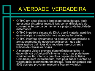 A VERDADE VERDADEIRAA VERDADE VERDADEIRA
 O THC em altas doses e longos períodos de uso, podeO THC em altas doses e longos períodos de uso, pode
apresentar disturbios mentais tais como: dificuldade deapresentar disturbios mentais tais como: dificuldade de
concentração, perda de memória e prejuízo da habilidadeconcentração, perda de memória e prejuízo da habilidade
matemática.matemática.
 O THC impede a síntese do DNA, que é material genéticoO THC impede a síntese do DNA, que é material genético
essencial para o metabolismo e reprodução celular.essencial para o metabolismo e reprodução celular.
 O THC interfere diretamente na produção, transmissão eO THC interfere diretamente na produção, transmissão e
armazenamento de neurotransmissores - que sãoarmazenamento de neurotransmissores - que são
mensageiros químicos dos impulsos nervosos entremensageiros químicos dos impulsos nervosos entre
bilhões de células nervosas.bilhões de células nervosas.
 A maconha vicia e provoca dependência psíquica - aA maconha vicia e provoca dependência psíquica - a
dependência psíquica dificilmente mata, mas pode trazerdependência psíquica dificilmente mata, mas pode trazer
sofrimentos tão intensos quanto a dependência física.sofrimentos tão intensos quanto a dependência física.
Com base num levantamento, feito para saber quantos seCom base num levantamento, feito para saber quantos se
viciam após experimentarem drogas, ficou constatado queviciam após experimentarem drogas, ficou constatado que
50% dos que provaram maconha ficaram viciados.50% dos que provaram maconha ficaram viciados.
 