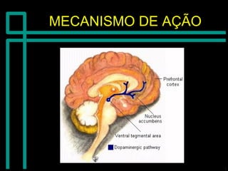 MECANISMO DE AÇÃOMECANISMO DE AÇÃO
 