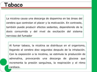 Tabaco
La nicotina causa una descarga de dopamina en las áreas del
cerebro que controlan el placer y la motivación. En contraste,
también puede producir efectos sedantes, dependiendo de la
dosis consumida y del nivel de excitación del sistema
nervioso del fumador
Al fumar tabaco, la nicotina se distribuye en el organismo,
llegando al cerebro diez segundos después de la inhalación.
Con la exposición a la nicotina, se estimula la producción de
adrenalina, provocando una descarga de glucosa que
incrementa la presión sanguínea, la respiración y el ritmo
cardiaco.
 