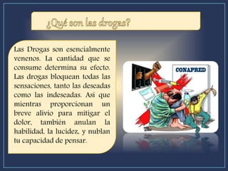 Las Drogas son esencialmente
venenos. La cantidad que se
consume determina su efecto.
Las drogas bloquean todas las
sensaciones, tanto las deseadas
como las indeseadas. Así que
mientras proporcionan un
breve alivio para mitigar el
dolor, también anulan la
habilidad, la lucidez, y nublan
tu capacidad de pensar.
 