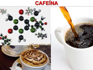 CAFEÍNA
 